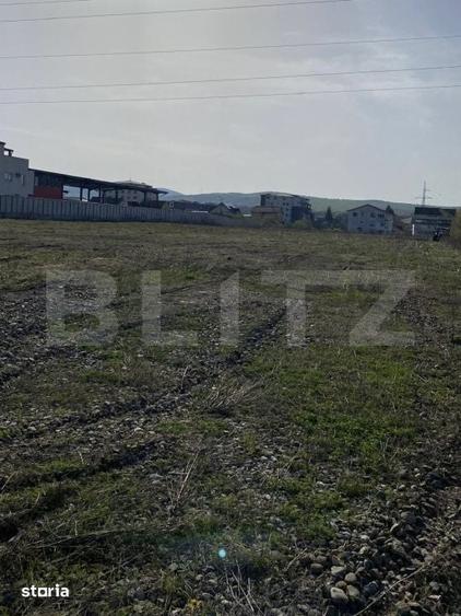 Teren de 10516 mp, în Viișoara