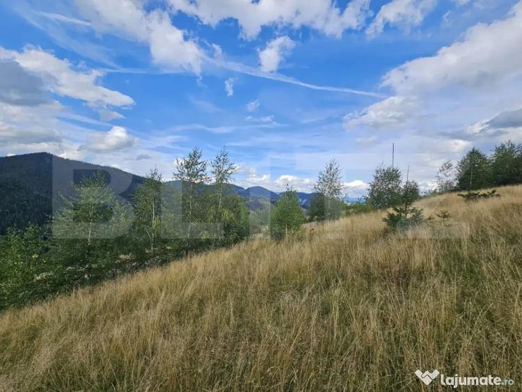 Teren intravilan 5.271 mp cu priveli?te spectaculoasa - 3