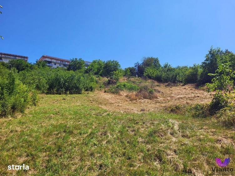 Teren Intravilan 546 mp | Panorama deosebita | PUZ in lucru - 1