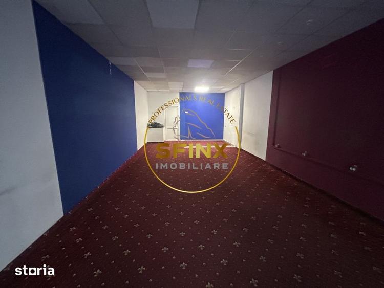 Sp comercial | Teiul Doamnei | 51mp | Disponibil Imediat - 3