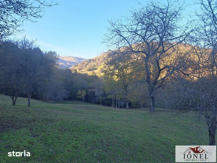 Casă cu 2 camere cu Teren 17399 Mp în Vințu de Jos