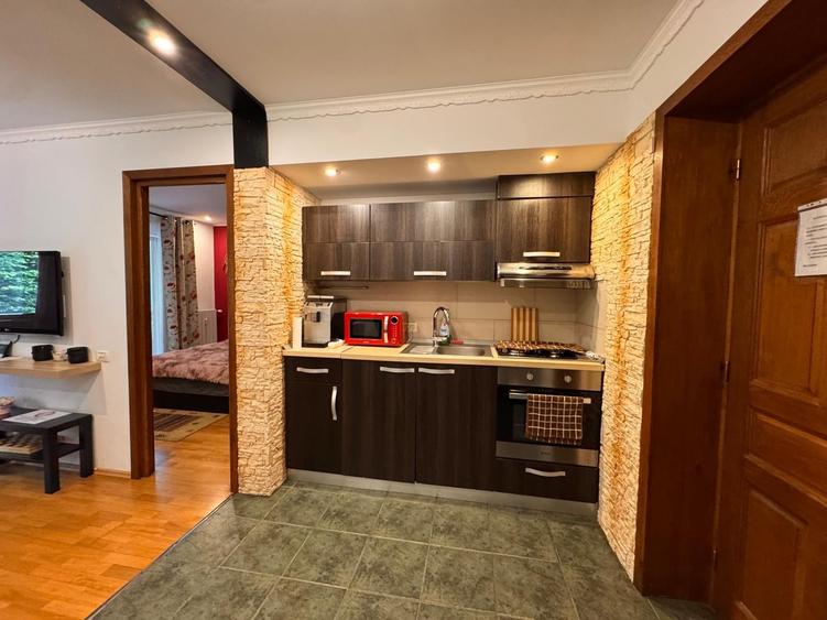 Apartament cu 2 camere decomandat în Furnica