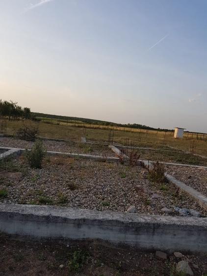 Teren de 2900 mp, în Miersig