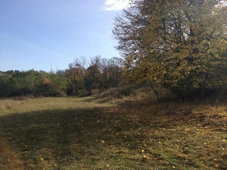 Teren agricol extravilan de 1125 mp, în Gușterița