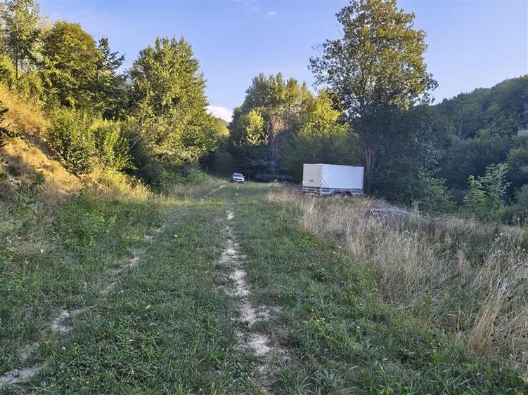 Teren agricol intravilan de 1000 mp, în Cisnădioara