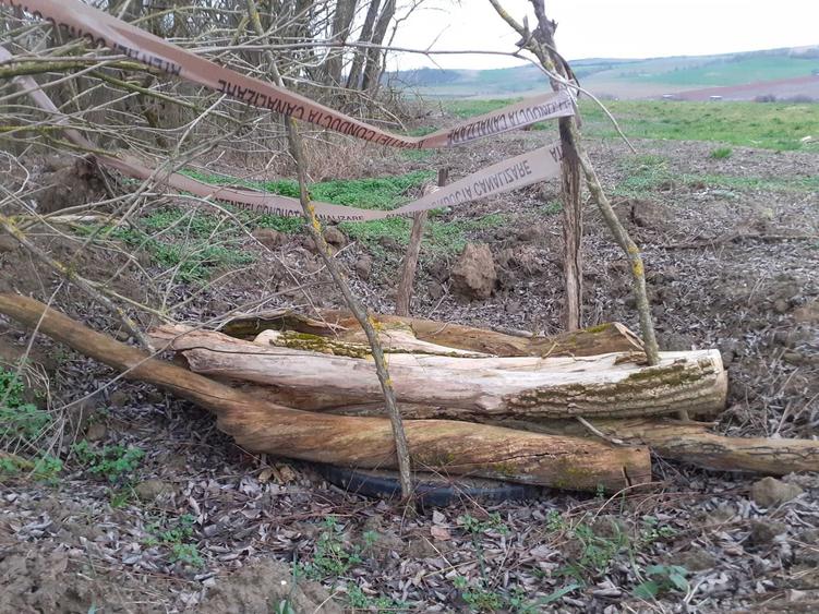 Vand - Schimb teren extravilan intre Simeria si Orastie (20 km Deva ) posibil Apa/Canalizare 67m x 310m, la Jeledinti ( Martinesti ) - 1