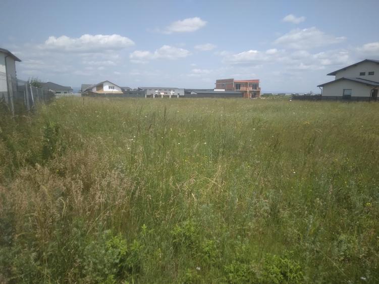 Teren agricol intravilan de 500 mp, în Tărlungeni