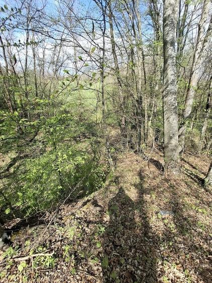 Teren de 5000 mp, în Valea Danului