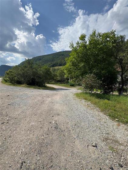 Teren Construcții intravilan de 6100 mp, în Bulz