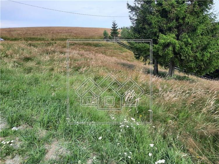 Teren Construcții intravilan de 800 mp, în Păltiniș