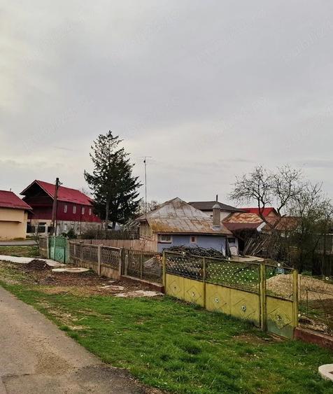 Teren de 2687 mp, în Dârza
