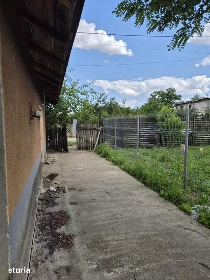 Teren de 1603 mp, în Pasărea