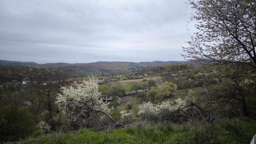 Teren agricol extravilan de 5800 mp, în Nord