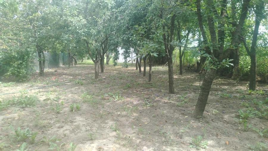 Casă cu 4 camere în Mărcești