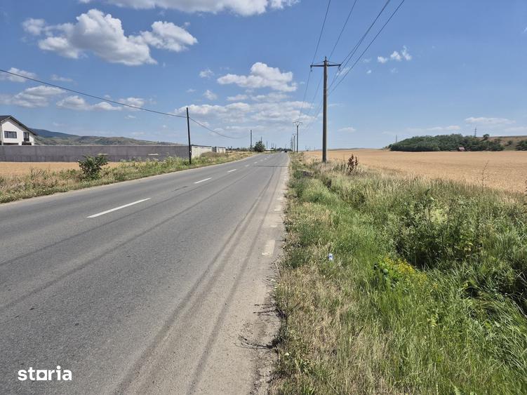 Teren de 7300 mp, în Vințu de Jos
