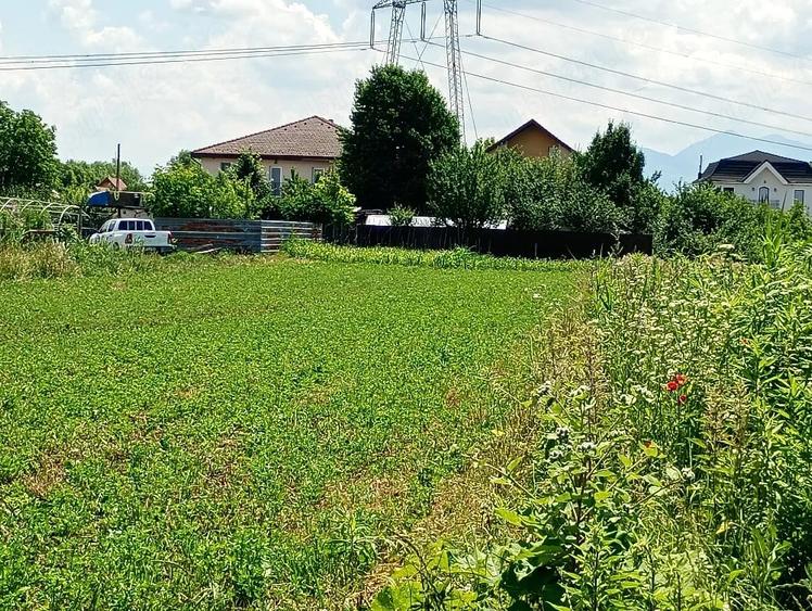 Teren de 1010 mp, în Stupini