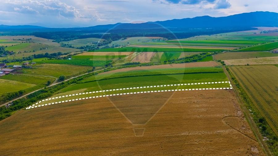 Teren agricol extravilan de 10800 mp, în Rotbav