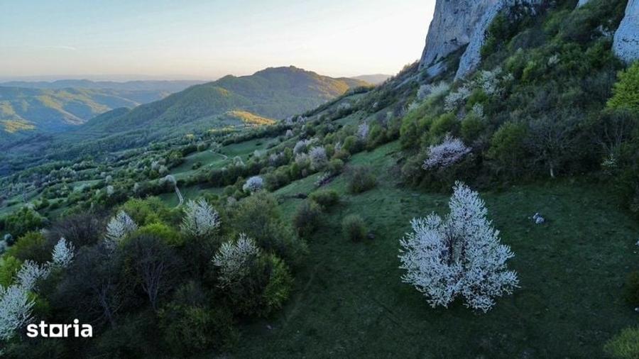 Teren de 35000 mp, în Ciuruleasa