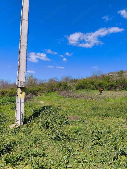 Teren de 800 mp, în Gara Banca