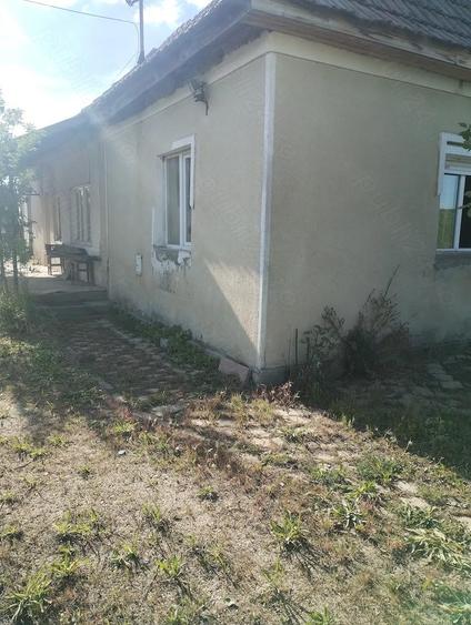 Vand curte cu doua case. - 3