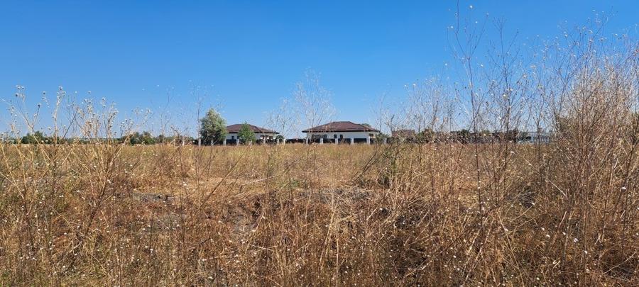 Teren Construcții intravilan de 967 mp, în Dimieni