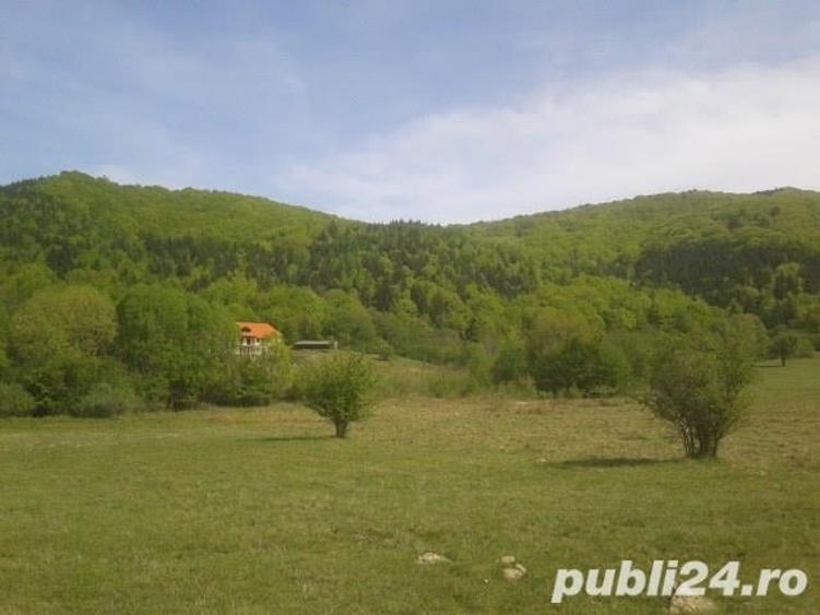 Teren de 1900 mp, în Sud