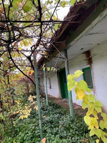 Vand casa sat Manastur, Vinga