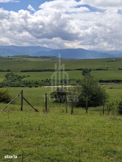 Teren de 11500 mp, în Roșia