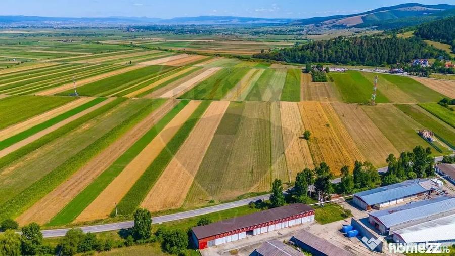 Teren de 7000 mp, în Teliu