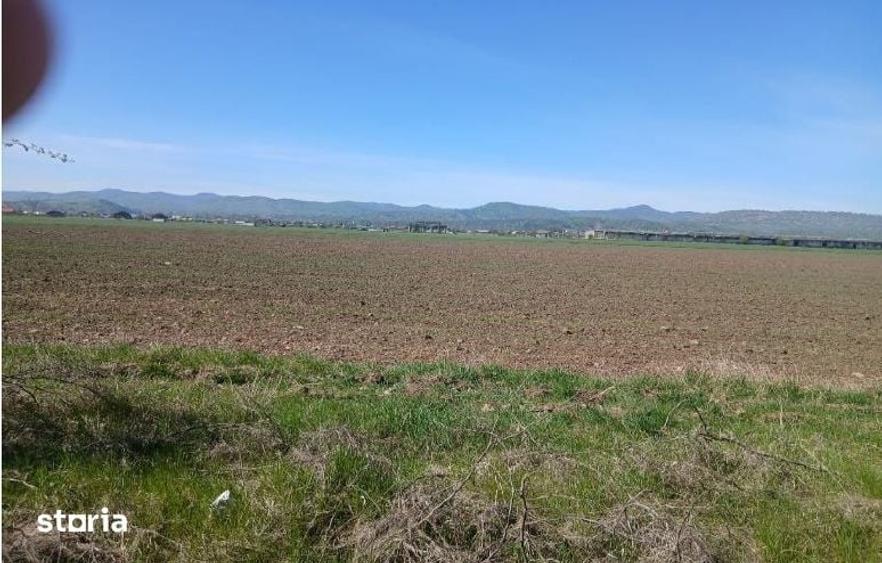 Teren de 3600 mp, în Central