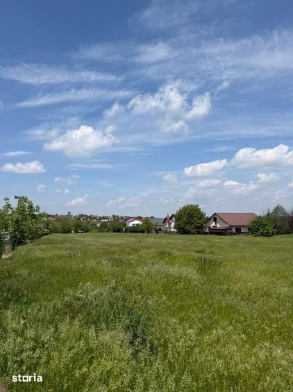 Teren de 1000 mp, în Ciurea