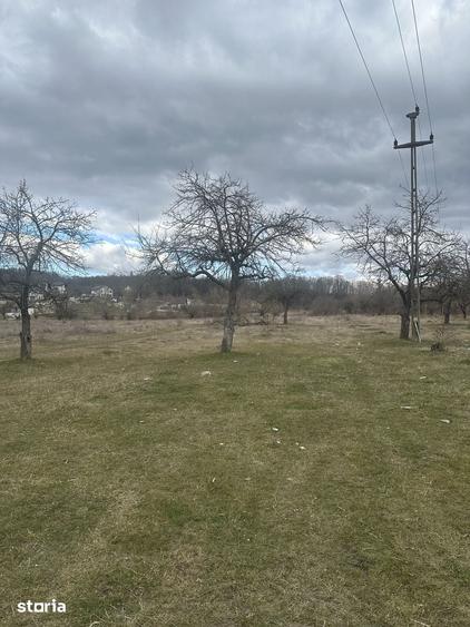 Teren de 4400 mp, în Voila