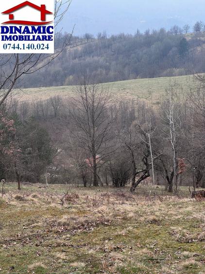 Teren agricol intravilan de 6000 mp, în Bistrița