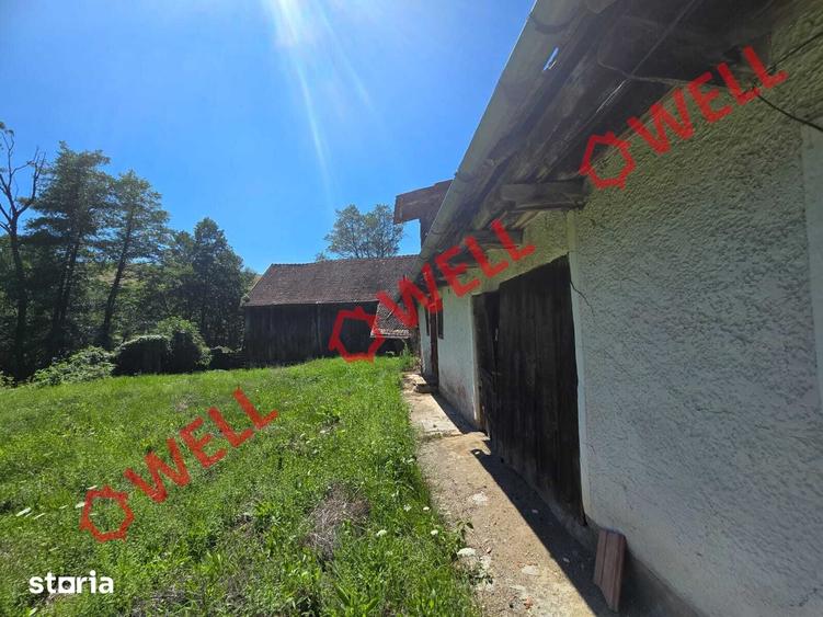Casă cu 4 camere cu Teren 7618 Mp în Belin