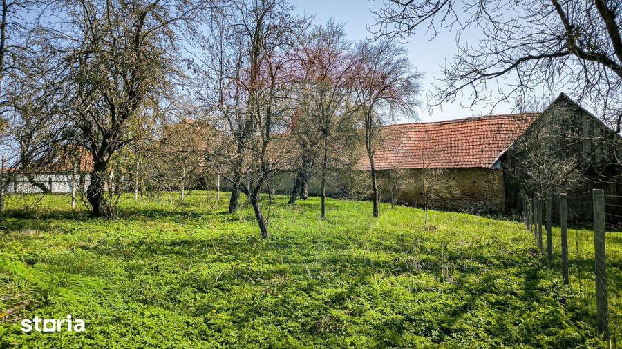 Casă cu 4 camere cu Teren 1345 Mp în Bruiu