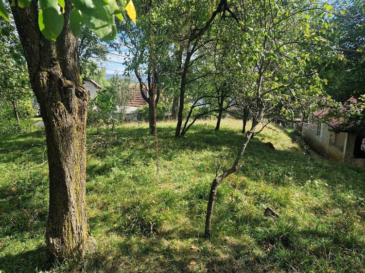Casă cu 2 camere în Moțăieni