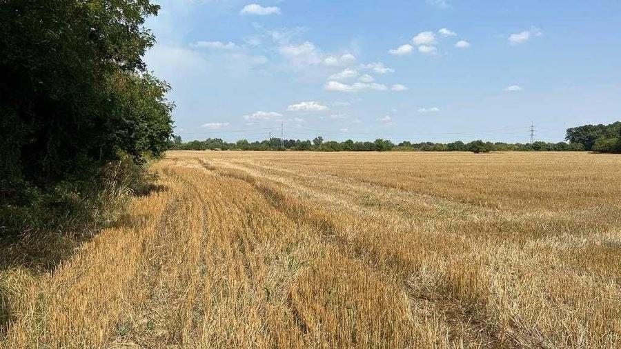 Teren de 4800 mp, în Jilava