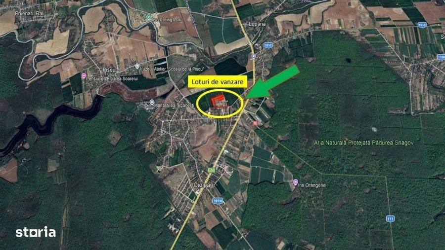 Loturi de casa - 1.000 mp intravilan - Strada Scolii - Ciolpani Ilfov - 4