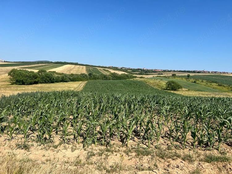 Teren de 2870 mp, în Cordău