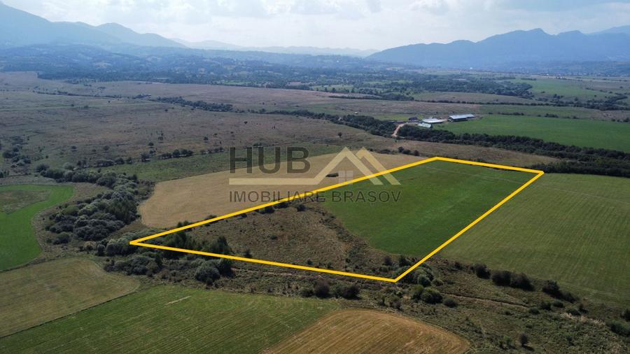 Teren Construcții extravilan de 29300 mp, în Pănicel