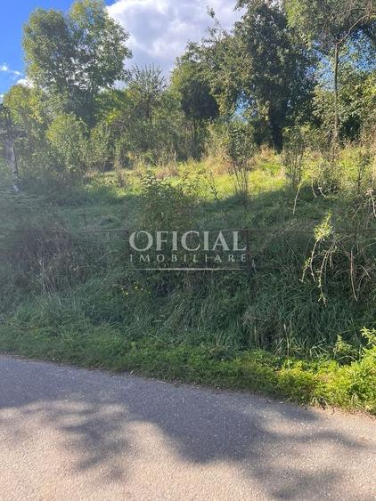 Teren agricol intravilan de 2771 mp, în Șutu