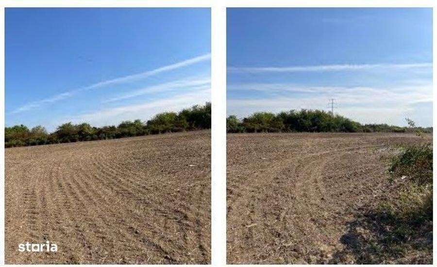 Teren extravilan agricol Halmeu, Satu Mare - 3085272 - 2