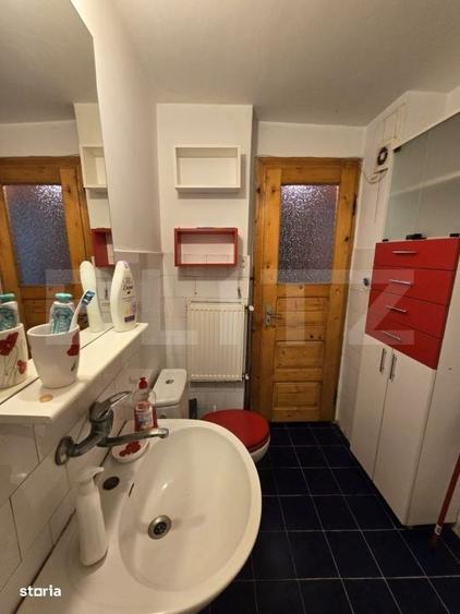 Apartament cu 2 camere decomandat în Viișoara