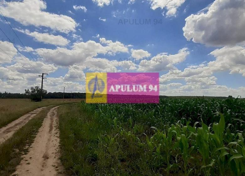 Teren Construcții intravilan de 715 mp, în Snagov