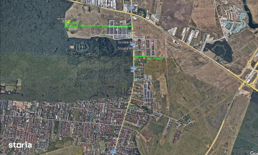 Teren de 5000 mp, în Tunari