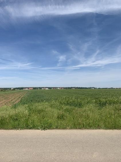 Teren intravilan de 10500 mp, în Cosoba