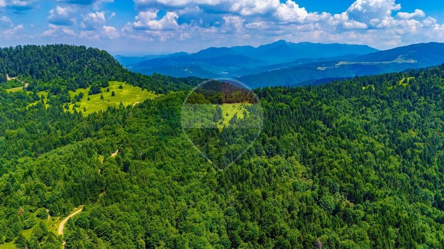 Teren agricol extravilan de 7000 mp, în Gârcini