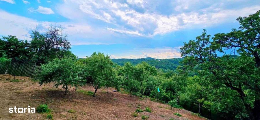 Casă cu 3 camere cu Teren 796 Mp în Vâlcea