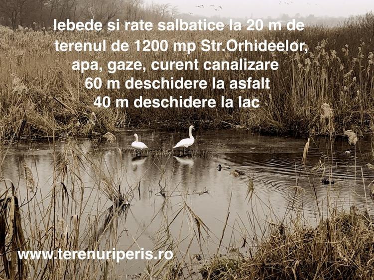 Teren intravilan de 735 mp, în Periș