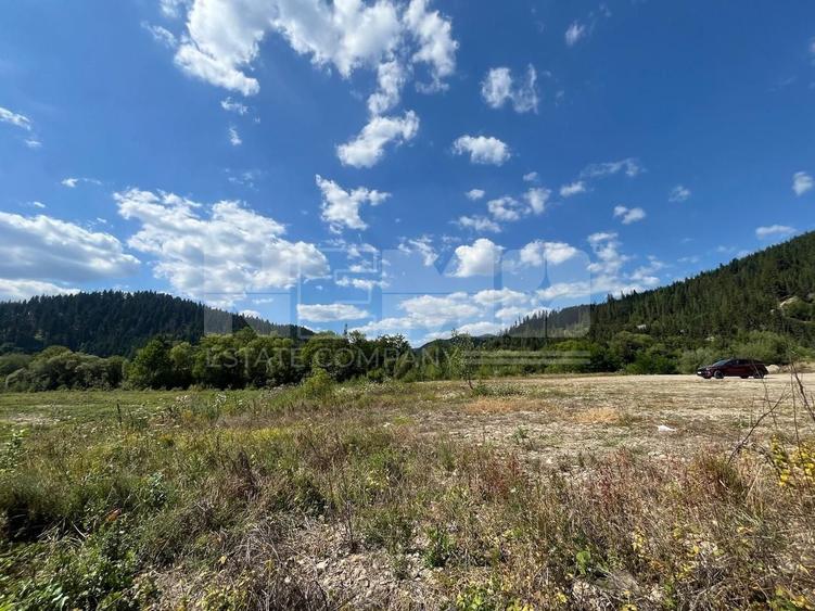 Teren Construcții intravilan de 22600 mp, în Sucevița